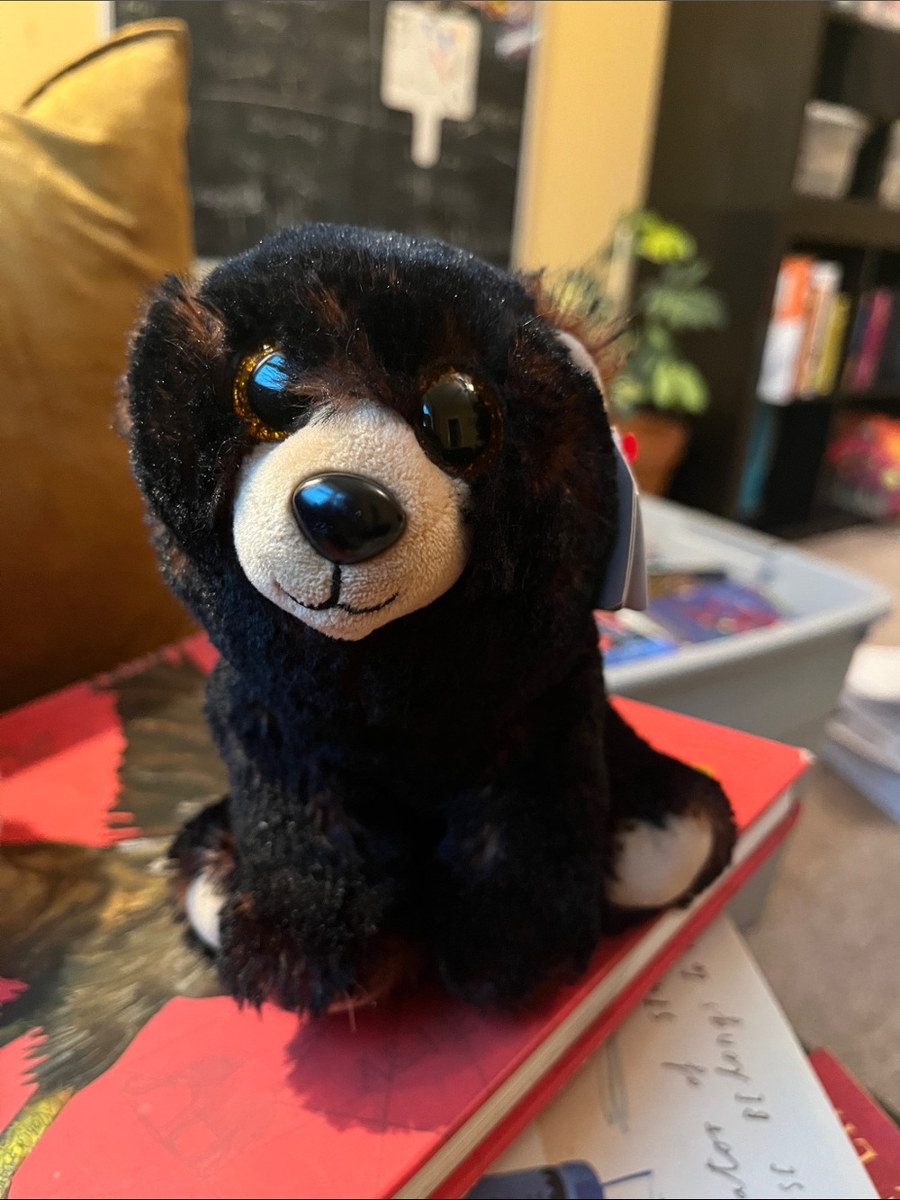 Ty Plush Black Bear beanie baby